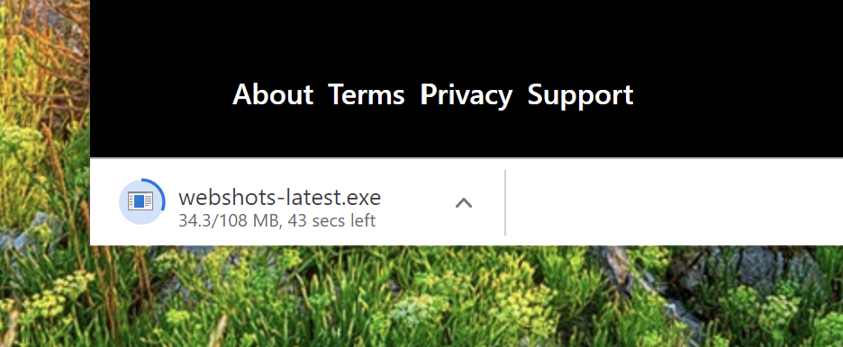 That loads up the installer in your web browser. In Google Chrome you can see this in the lower left corner.